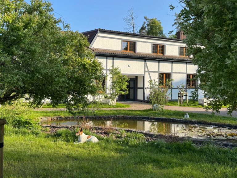 Potęgówka wege Kaszuby Wydarzenie Mój nowy początek